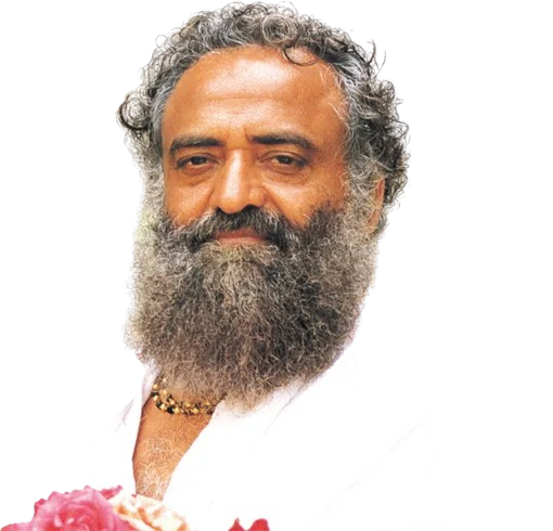 Bapu ji Festival Image3