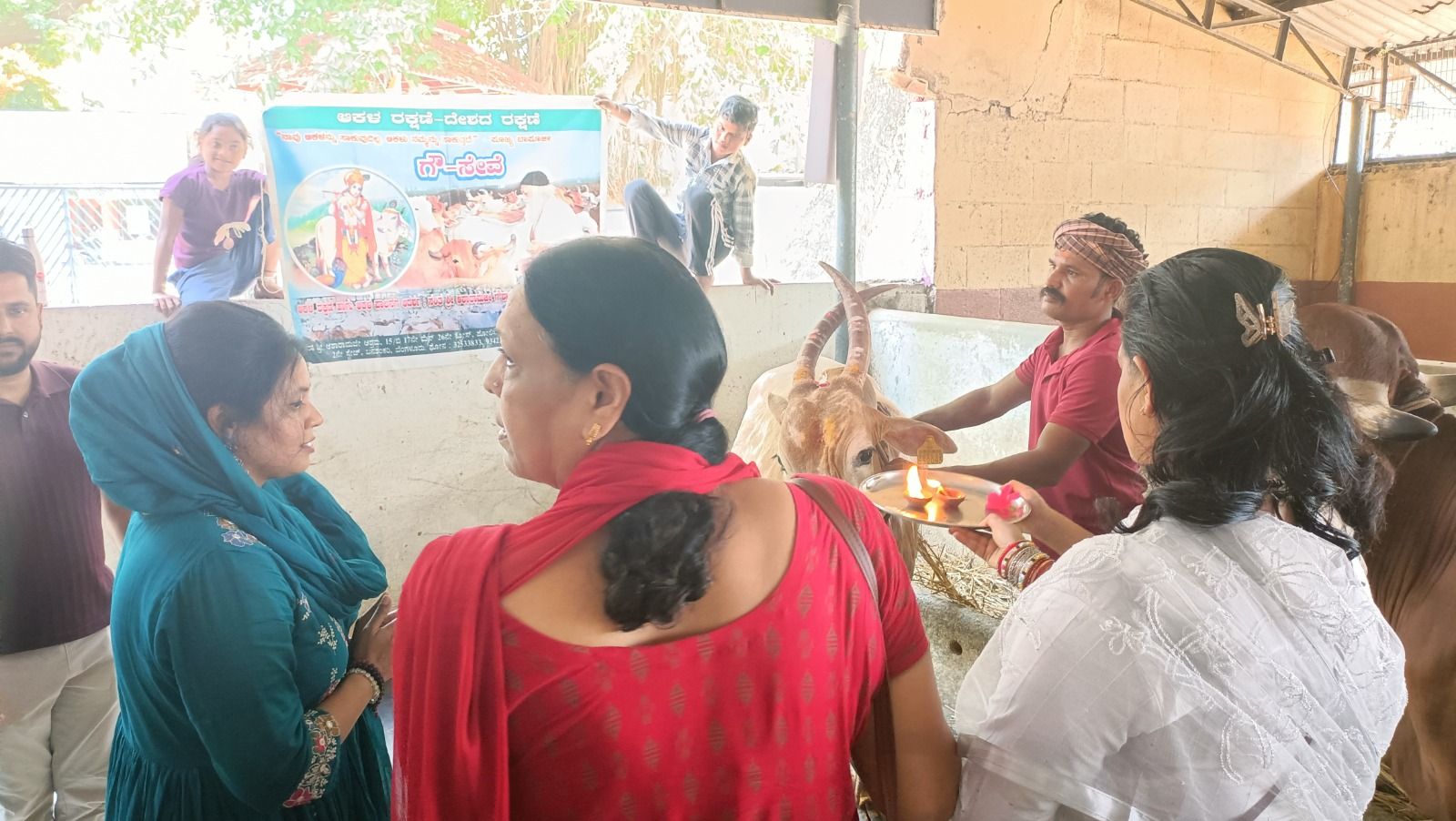 gauseva2