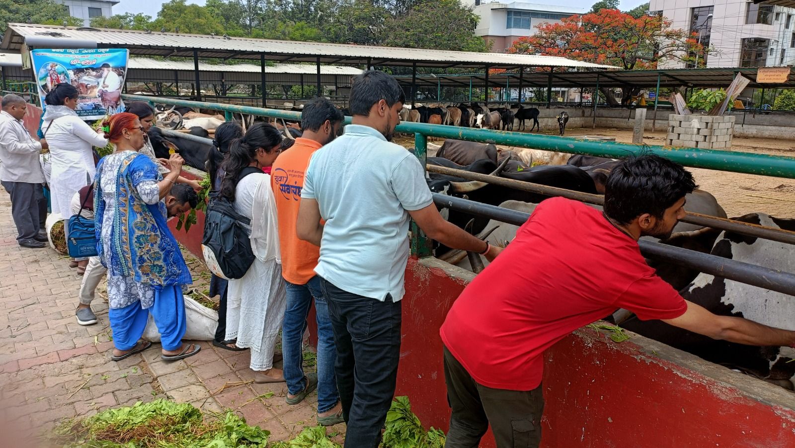 gauseva5